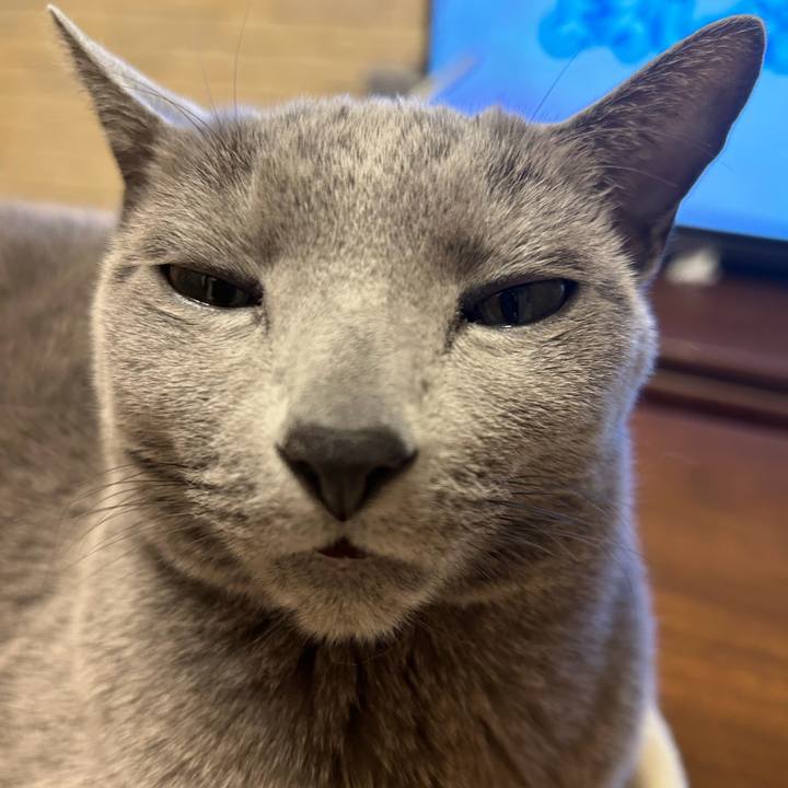 Aa876d22 dd33 4880 9491 294221d4f1cf 1740089880155