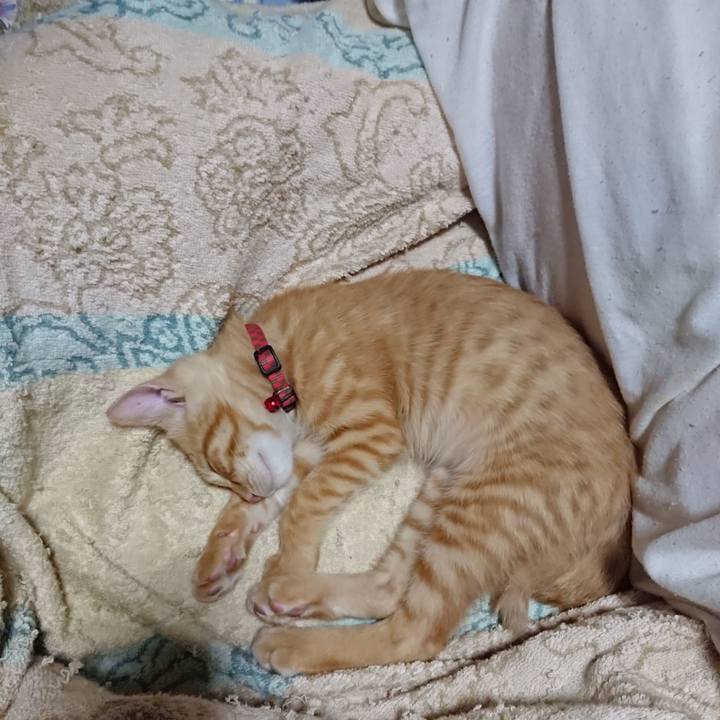 Aa87ff53 b1fd 4056 a66a 824f0e9f5081 1632317963024