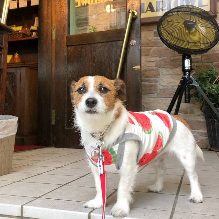 Aa880447 902f 4594 b044 a6ffaa57ea90 1536326899223