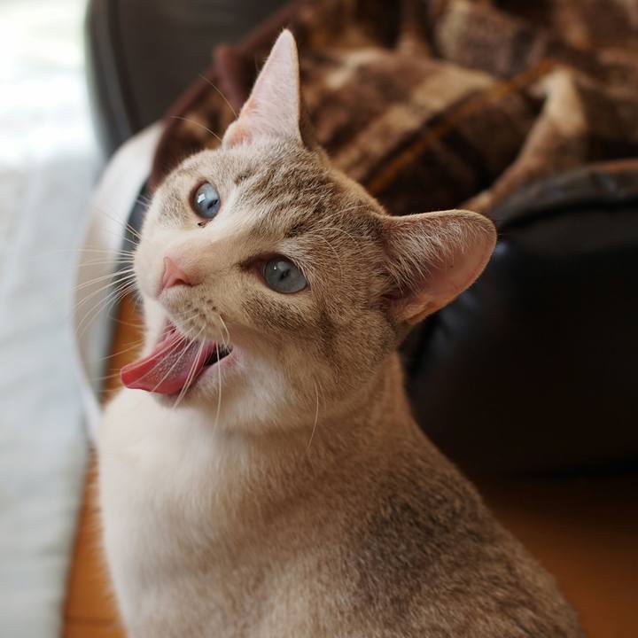 Aa8819de a1ac 4556 8f8d 27ab963c362d 1516592080893