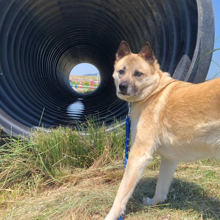 Aa886403 70bb 4f57 a6bd 991bea8fc3cf 1622377815454