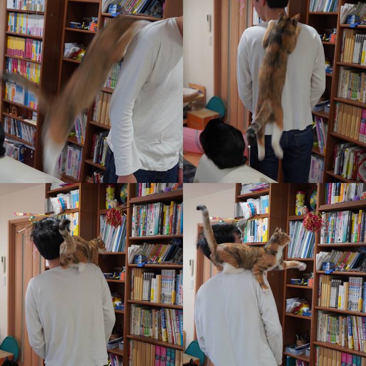 Aa889abc 9fec 4c0d bb3f 0311c106cc4a 1585785304618