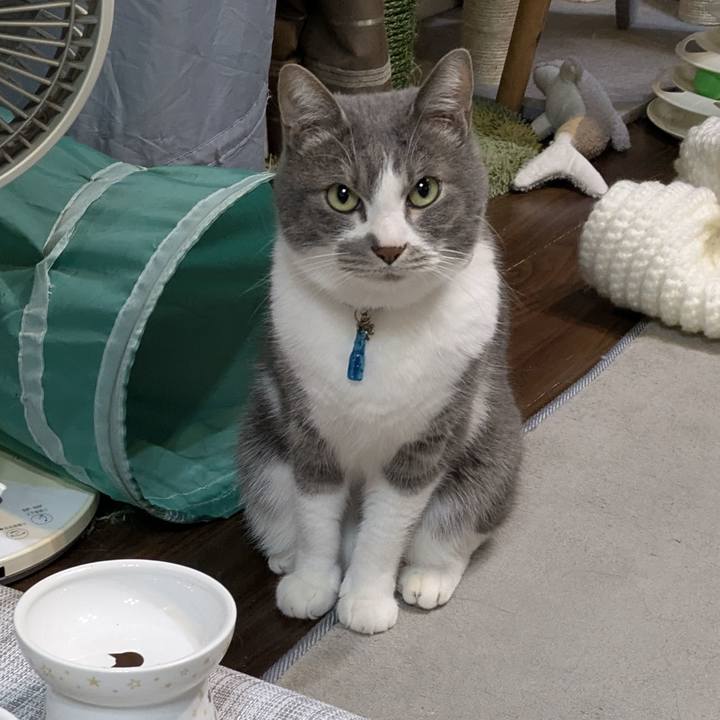 Aa88d20c 0807 4a29 aeed 0f485045ab61 1768570877985