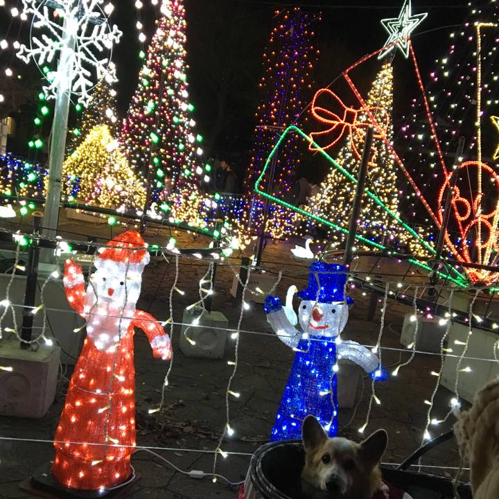 Aa88e626 8c50 45d9 82bb c53f9ef99b57 1545533288551