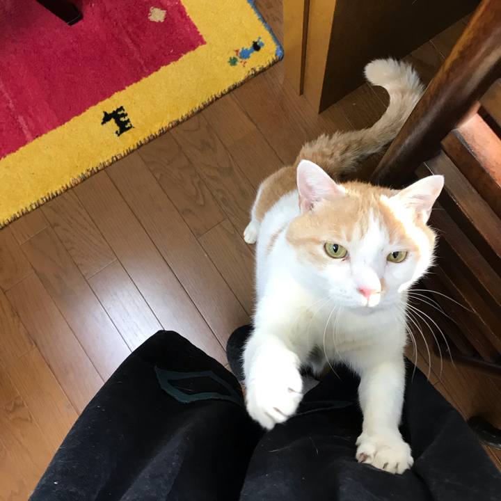 Aa88fa84 5ccd 4a15 8f8d 8d35ec97df67 1611902425951