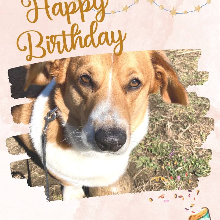 Aa89864e 03d1 418a b526 be7cd56ed5d0 1677199218964