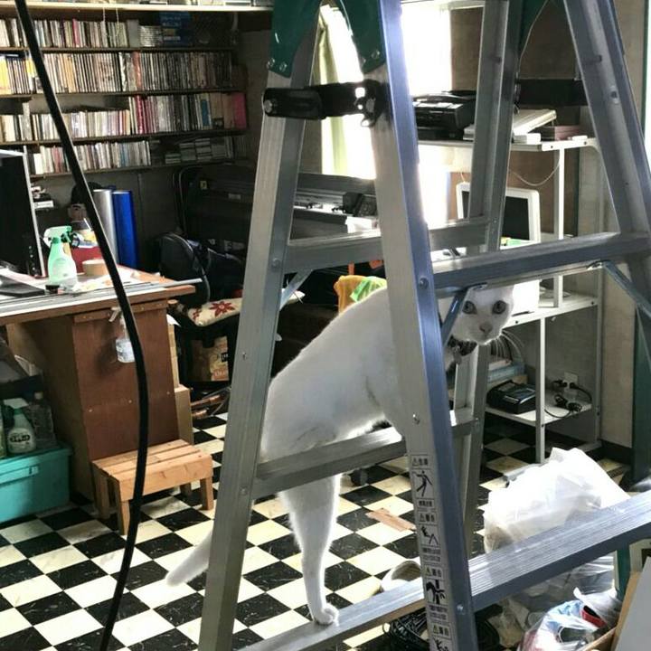 Aa89a860 36a6 47ac ab2d d4c1ed0191b1 1535810713038