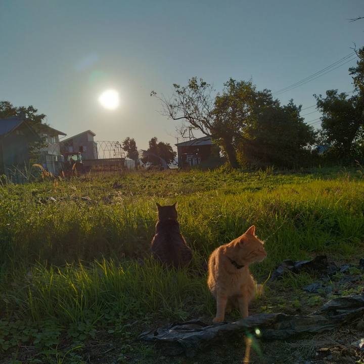 Aa8a3679 c77c 4dfe 81ff e6891baebdd7 1664610601482