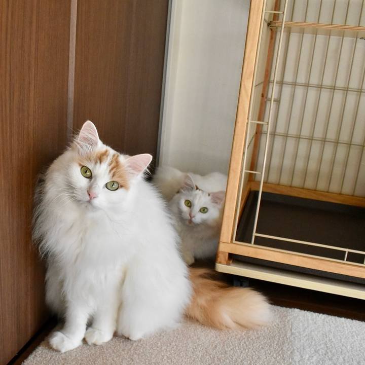 Aa8a5a5a 462d 4006 a24d 2faa4d39fe12 1763860950574