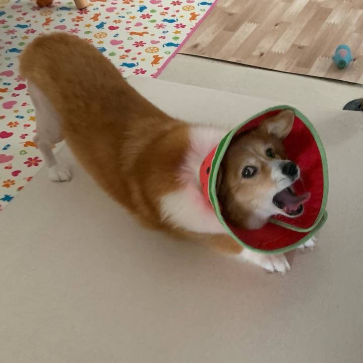 Aa8a7037 a564 4069 895a 11a2a5c05122 1717475526588