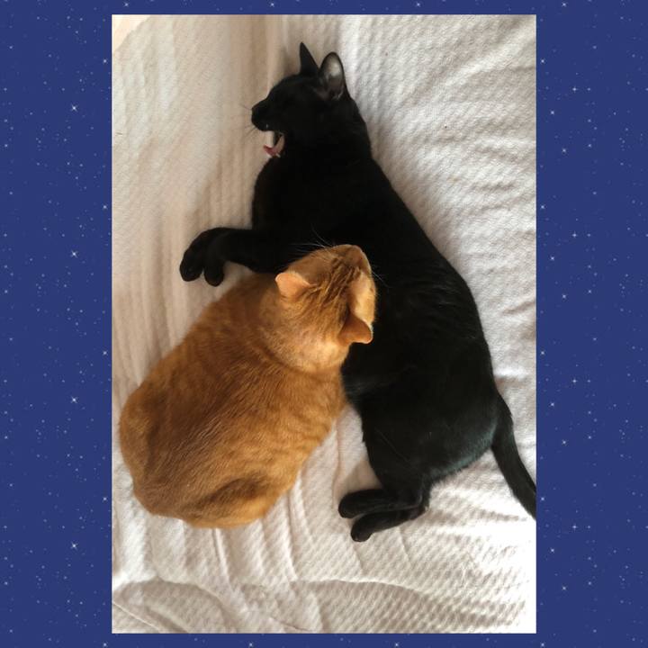 Aa8a8706 6d3a 4f7b 9005 d4723f65d8b3 1702075681389