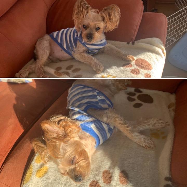 Aa8a8b79 12e2 415e 9b4a d9e34a2ebde4 1643104712339