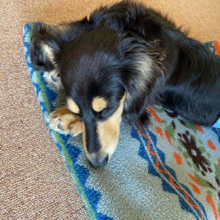 Aa8aaf36 3d97 4480 9bf3 65325e52675d 1678411228835