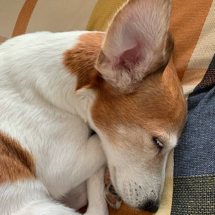 Aa8ab0a8 e471 4c8c bd87 d5cbaa5cd9f2 1583043993641