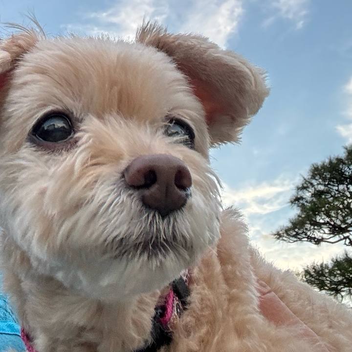 Aa8acf8b 0d61 4003 8607 a3157b7fedf5 1723953277789