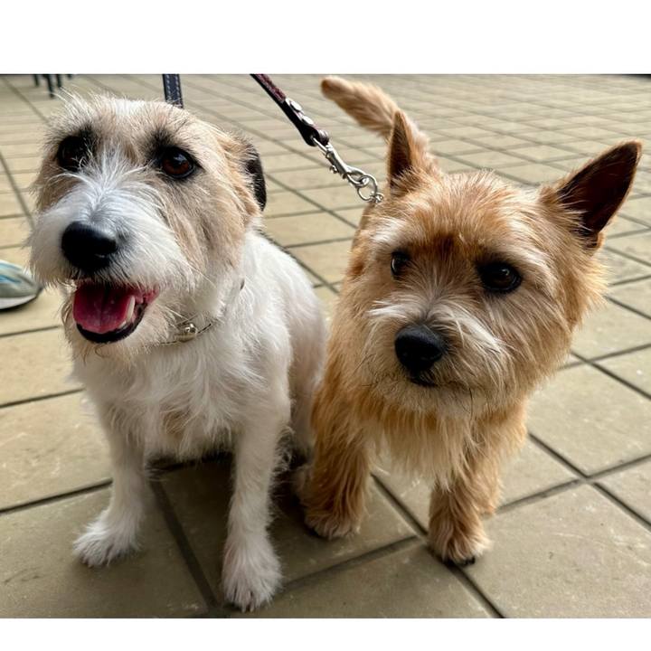 Aa8ae168 c360 4f1d b42f 574b82449cd4 1740924080016