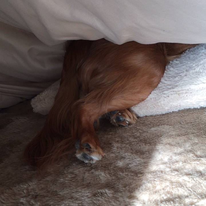 Aa8b1e2a ec73 4fd6 9f9d 53c2f7268dc2 1518991732583