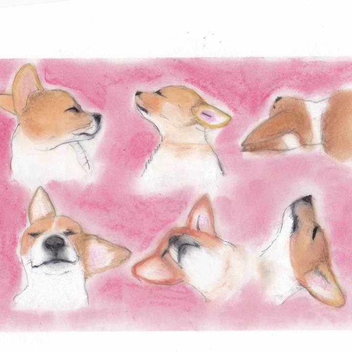 Aa8b54b1 d530 4c20 88da b66c17752c7d 1590595172380