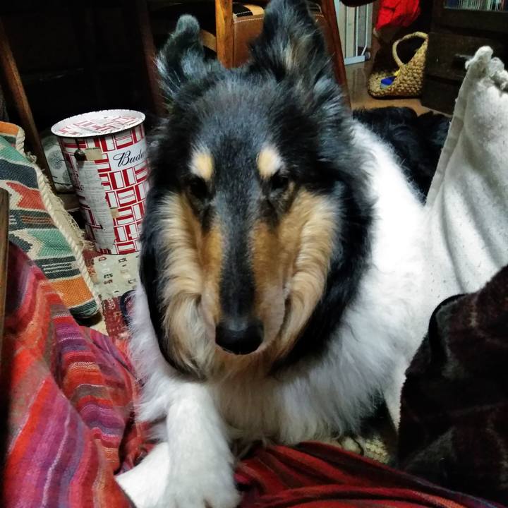 Aa8b9d73 6625 409f a9cd d2a1f765abbd 1517837655446