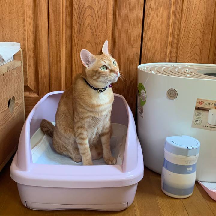 Aa8baca5 270e 4afe 8f92 af7b3b37f81b 1588655474366