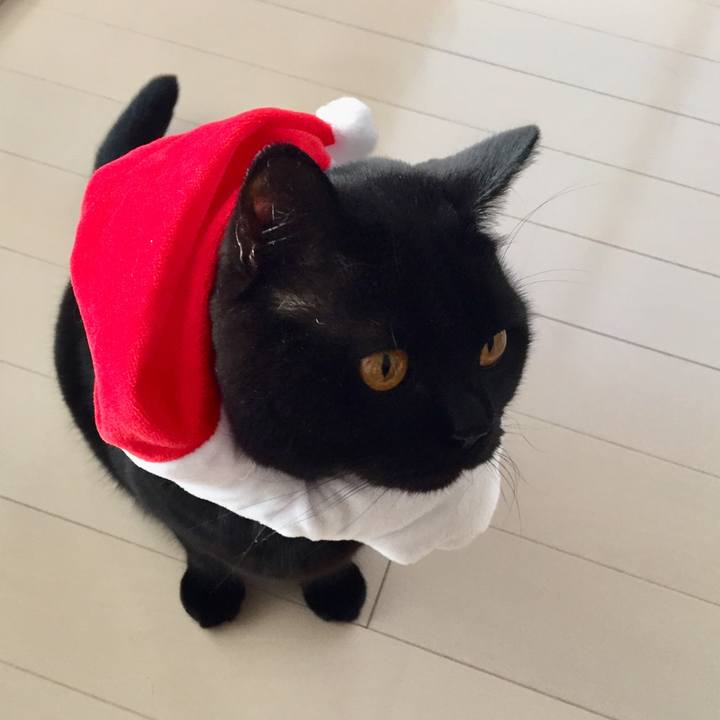 Aa8bb48a bc18 4ca5 878d 67d4783eac1d 1545633270619