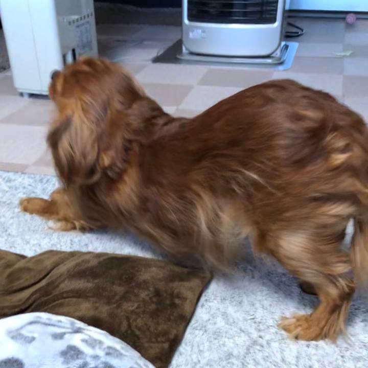 Aa8bca0c 3203 410b ab4e e80b4e484d40 1583878614092