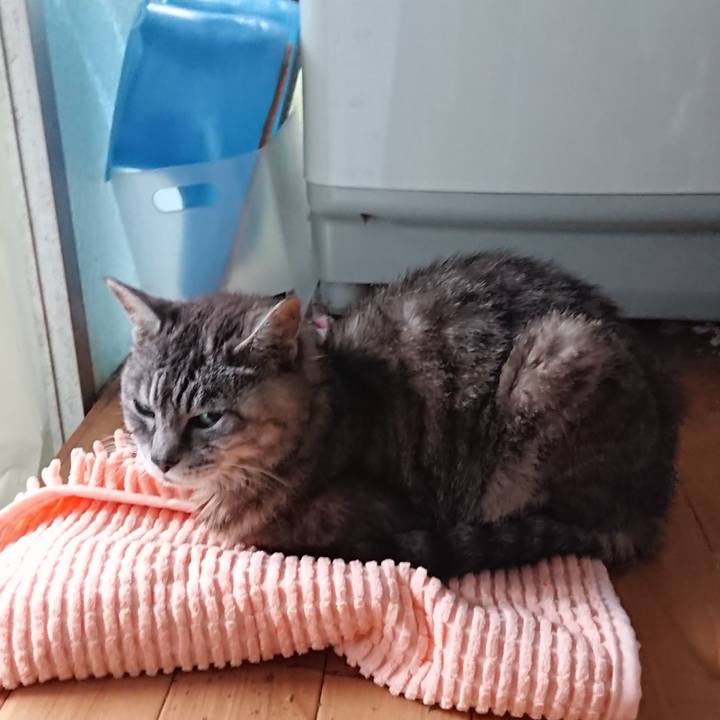 Aa8bf3b6 f121 4ba8 963a d242b06b1fbf 1567994825624