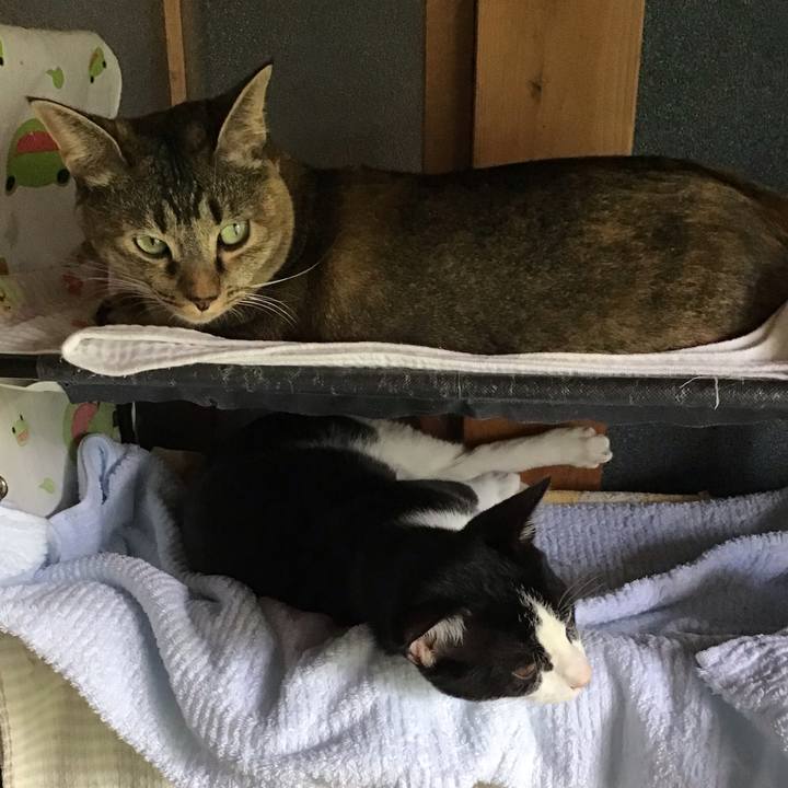 Aa8bfccb 367d 4f95 9e69 3f4bffc42cda 1630989604778