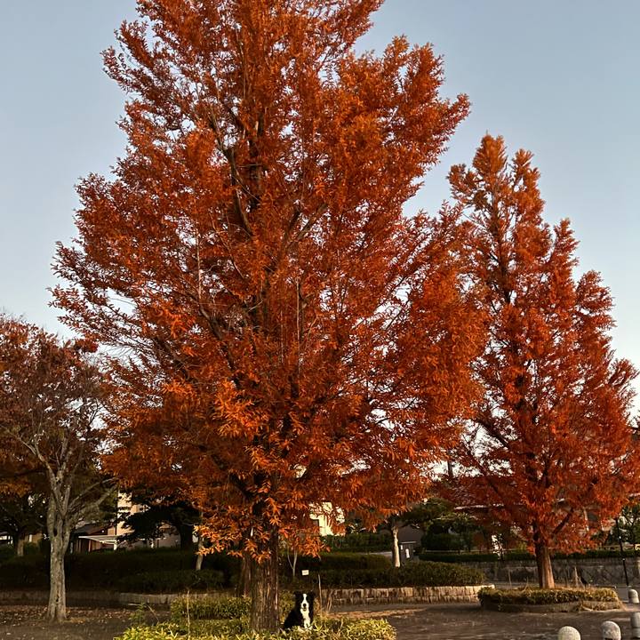 Aa8c24e3 e824 4596 9f42 cd1105675e70 1763802628725