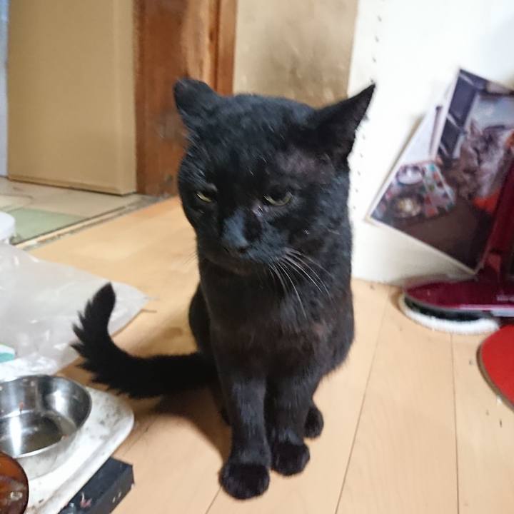 Aa8c5387 613d 45fe 9a7f f742fc0c656f 1628594856178