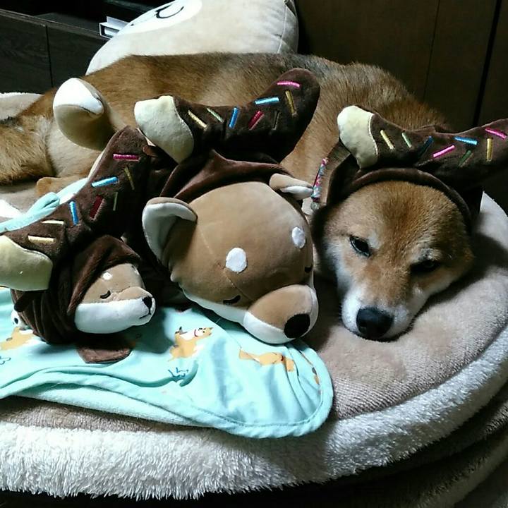 Aa8c9d86 c605 42e2 aa89 2a379a8e6431 1533356617947