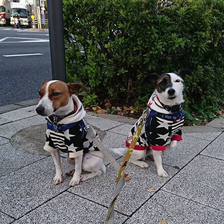 Aa8caef7 f9a4 4362 9d4c 799d4df622f4 1543618534909