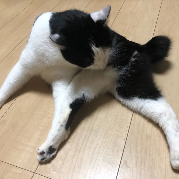 Aa8caf99 27ef 42df b163 a4fd49e6ef76 1558431710140