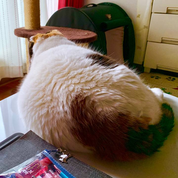 Aa8cc41a 4e88 464f b596 83fa4db93560 1562893081676