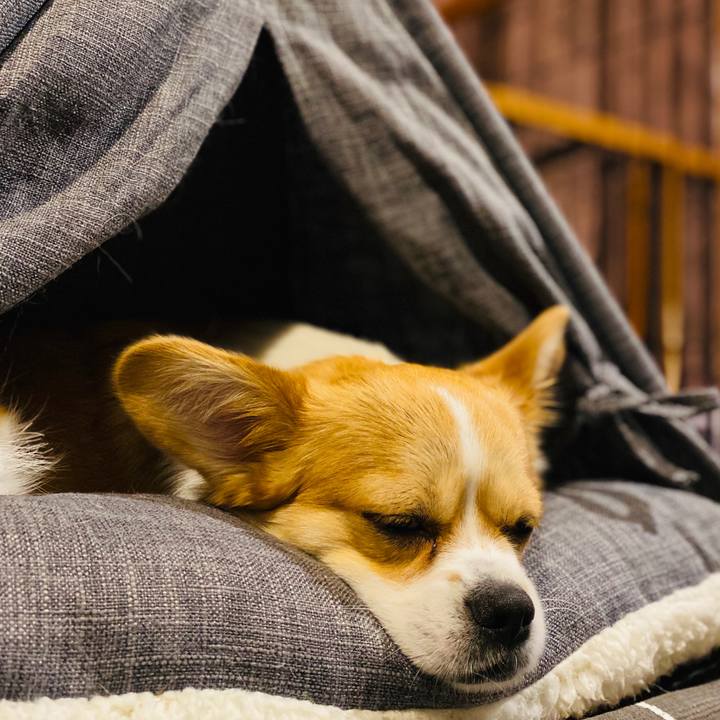 Aa8cda9f 685b 4f64 af95 3ba4977683c0 1587563334116