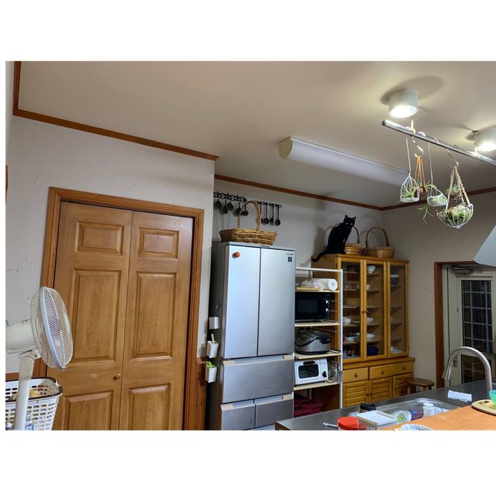 Aa8d1a4c b446 491f bf1f 4cb9ab8e21bf 1651932300412