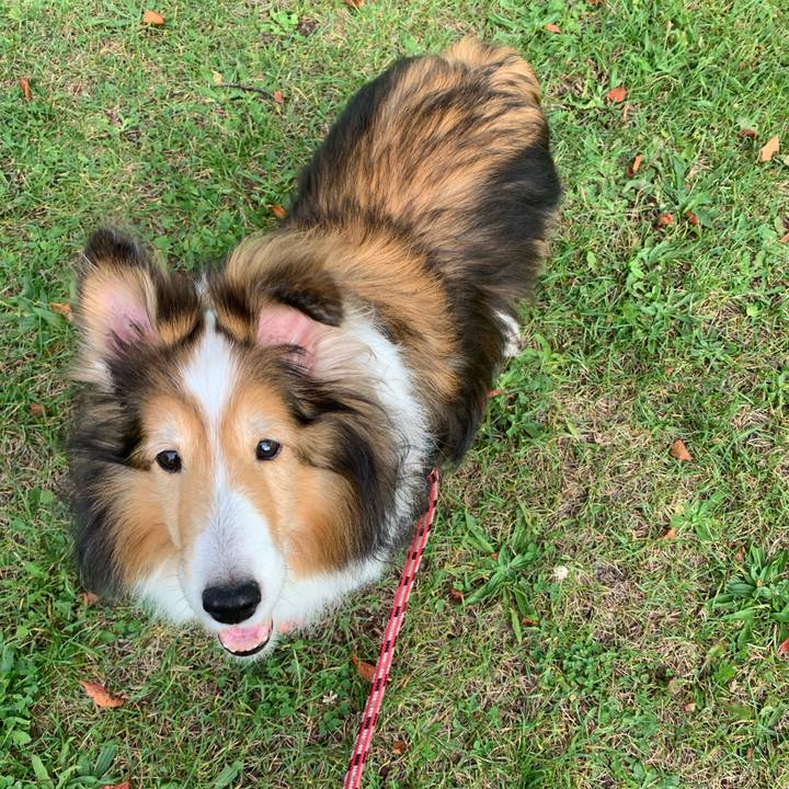 Aa8d9ee2 eede 4192 b4c3 21874613b39b 1602421069954