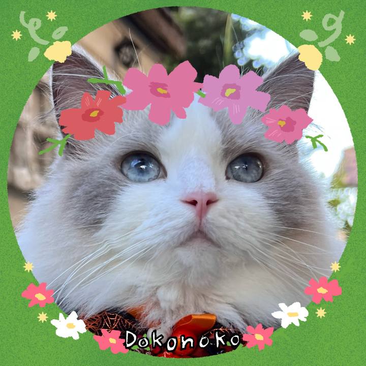 Aa8dac42 da6b 46cd adfc 849a56251c16 1727081124532