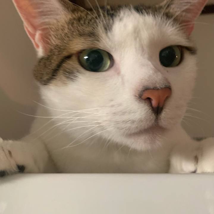 Aa8dcdff dd0a 49a8 9b89 962c2c7c516a 1659749137333