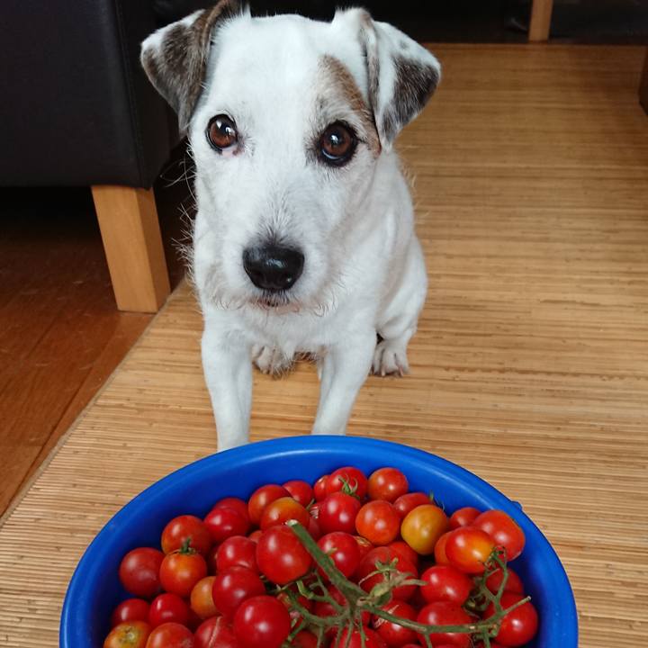 Aa8e073c 4bc9 41e9 b33b 67f4a712c622 1534378042251