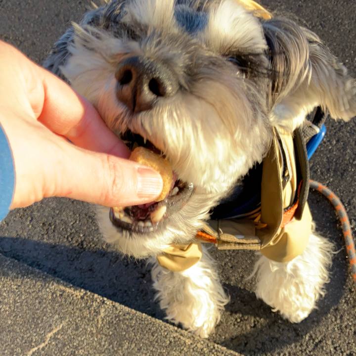 Aa8e2005 107d 4f19 ac5b 8b4d0cb477f9 1735537679908