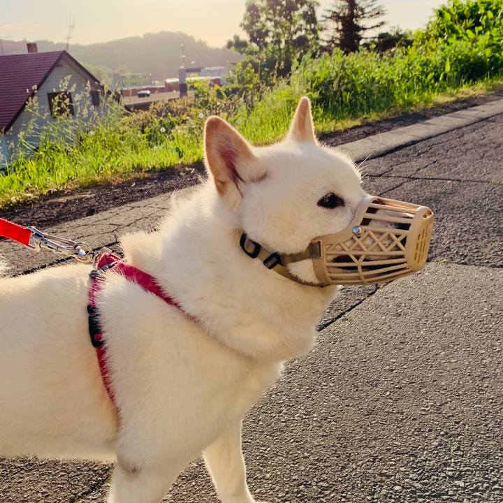 Aa8e5065 a76d 4808 93af d82a802176dd 1591907434387