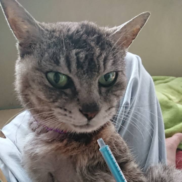 Aa8e79b9 9908 474d a521 a1f56e903199 1593211101676