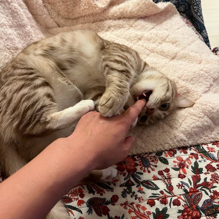 Aa8ea7a4 3302 4335 8d97 25770d53d634 1687087920781