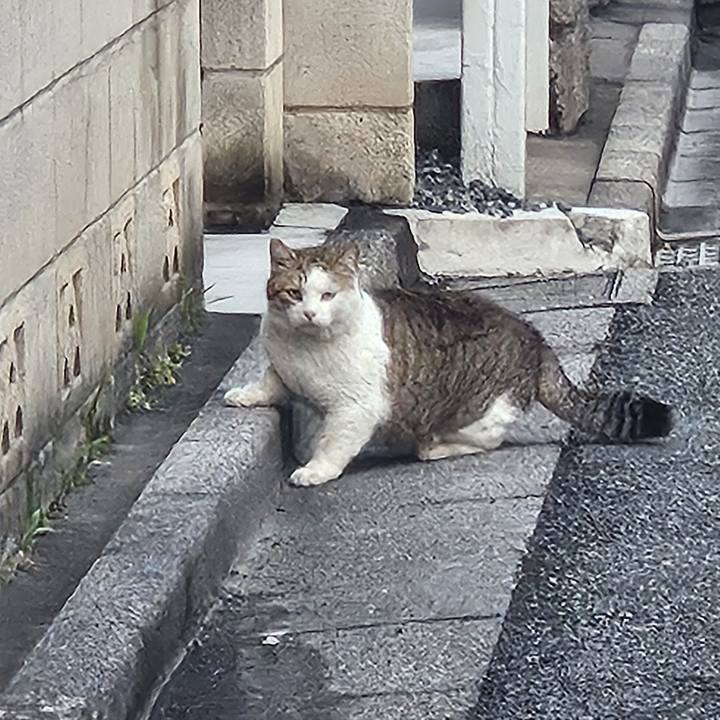 Aa8ec549 86de 4fcd ad5d 4b261ed69bae 1742519024699