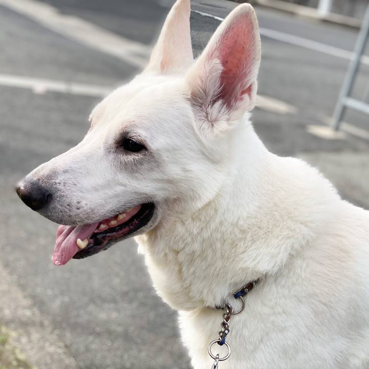 Aa8eed2d 840b 4f26 a6cb 5deec5dcef66 1579423599985