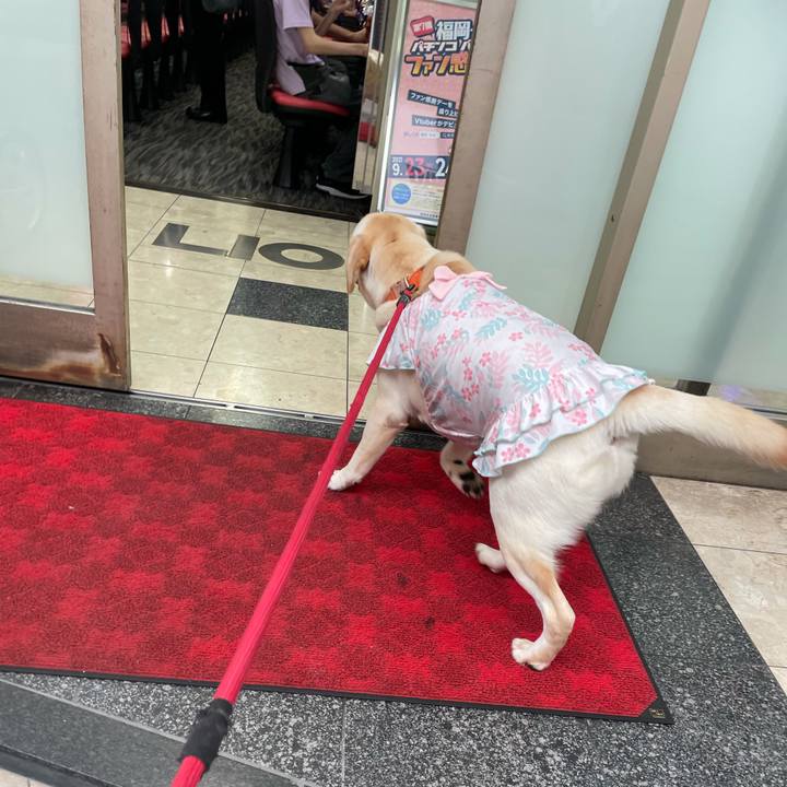 Aa8f059e 7c68 4a19 ae5b d5a077af99de 1632463229157