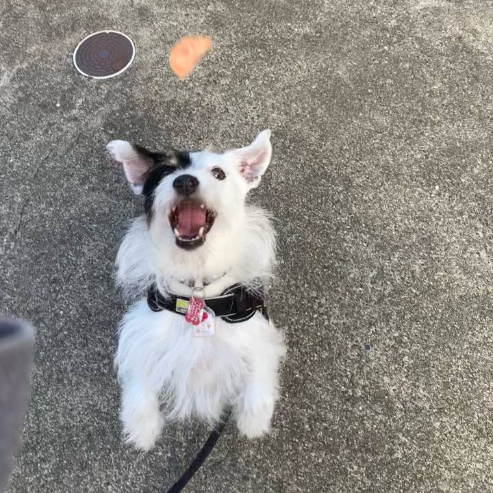 Aa8f0865 2220 417c 8291 223cc4ed632c 1694386693599