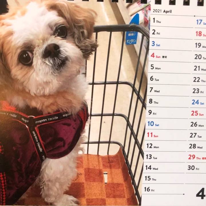 Aa8f1602 770f 4006 9e9c fd7584be1aff 1617745733283