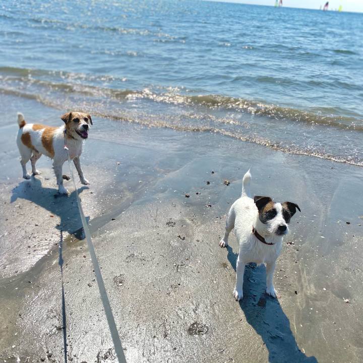 Aa8f2c8a b8e2 4e82 b0dc 9e4d96c1bbf0 1617884667136